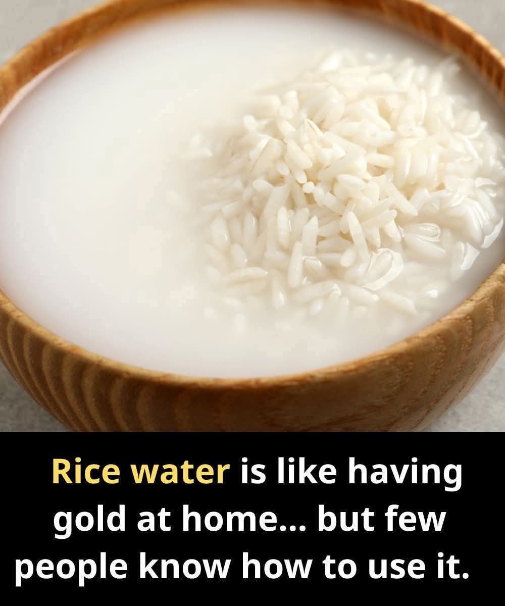 Rice Water: The Liquid Gold in Your Kitchen